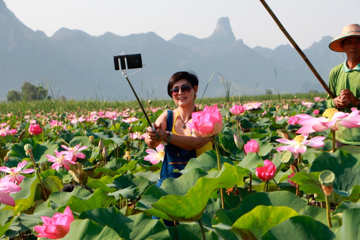 Лотос Тайланд