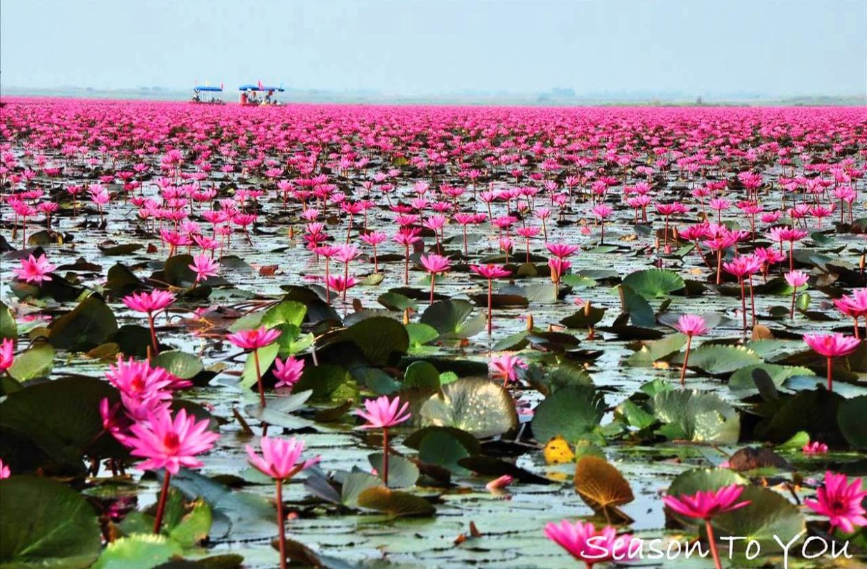 Озеро Нонг Хан