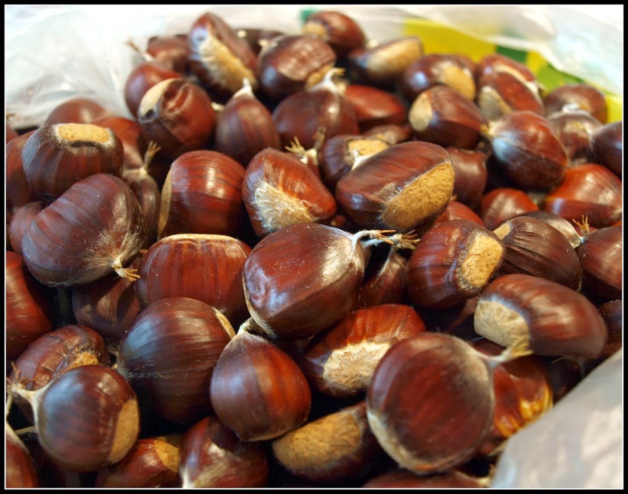 Масляничный грецкий орех