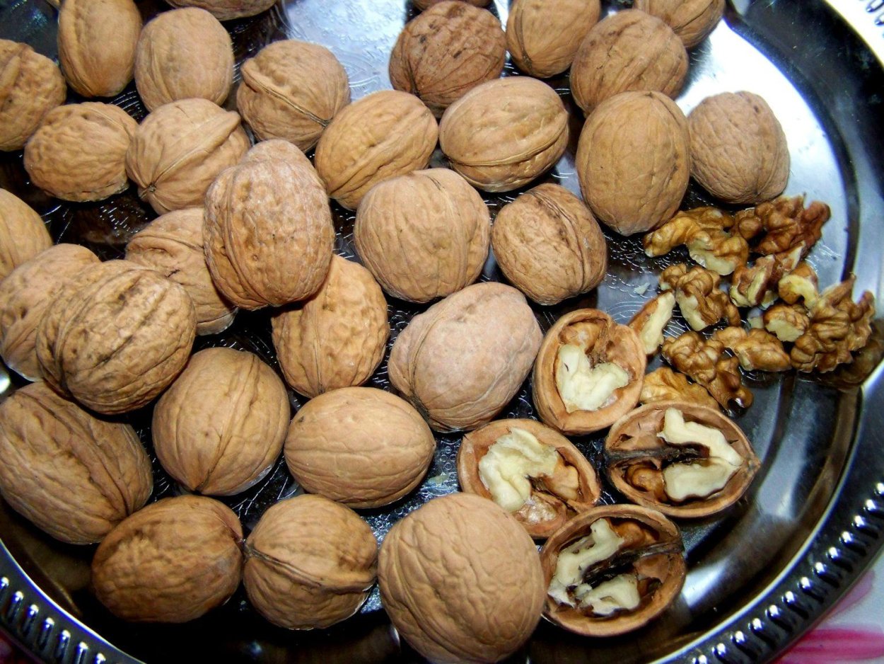 Грецкий орех дерево