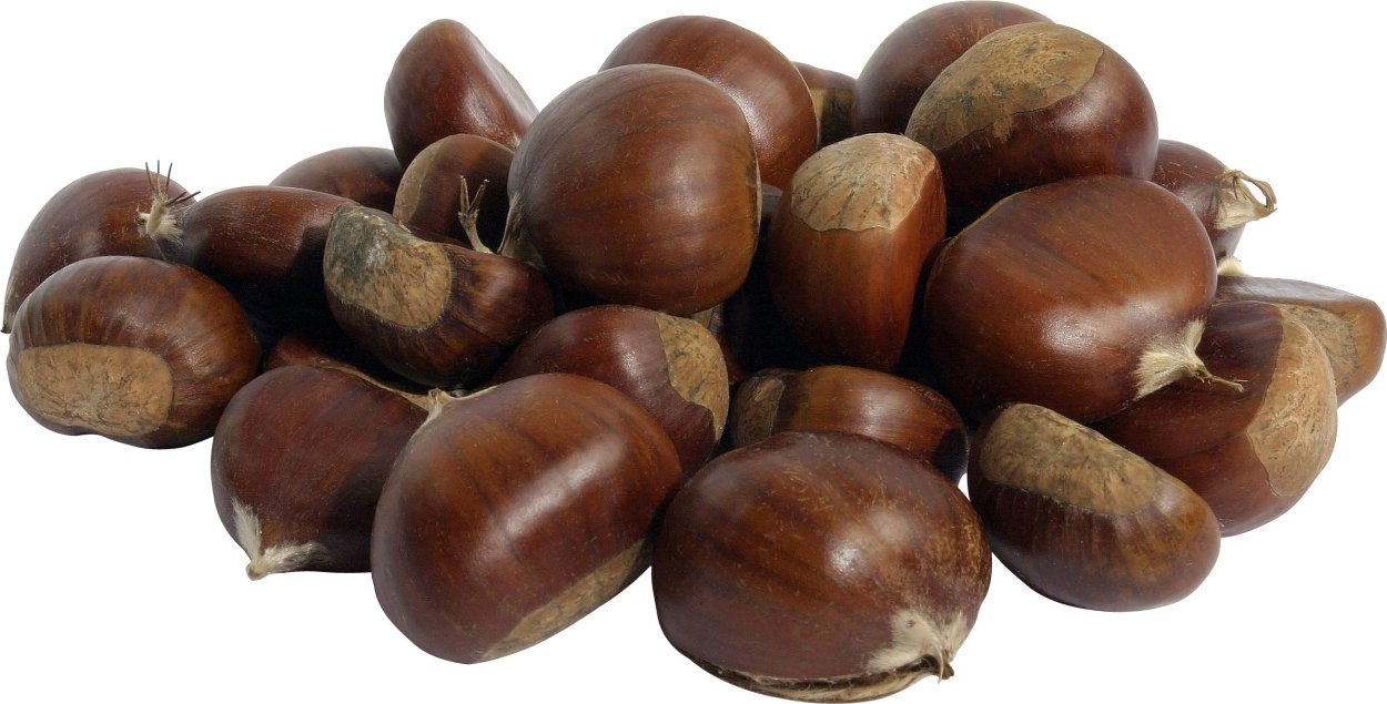 Орех черный, Juglans nigra