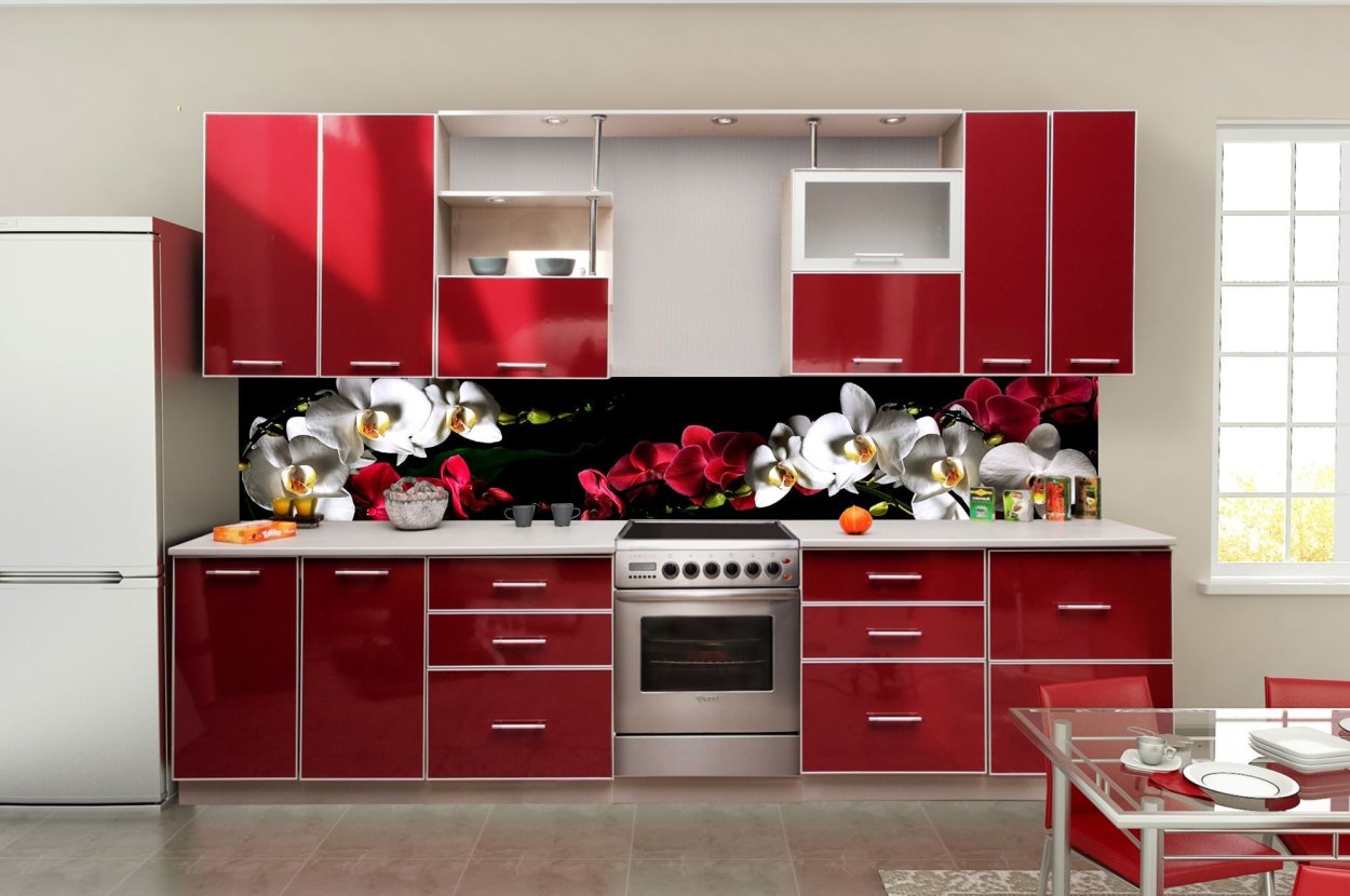 Фаленопсис Аркадия пелорик