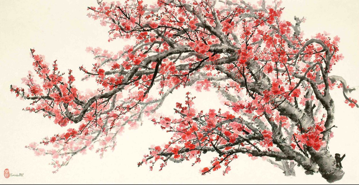 Ветка японской Сакуры