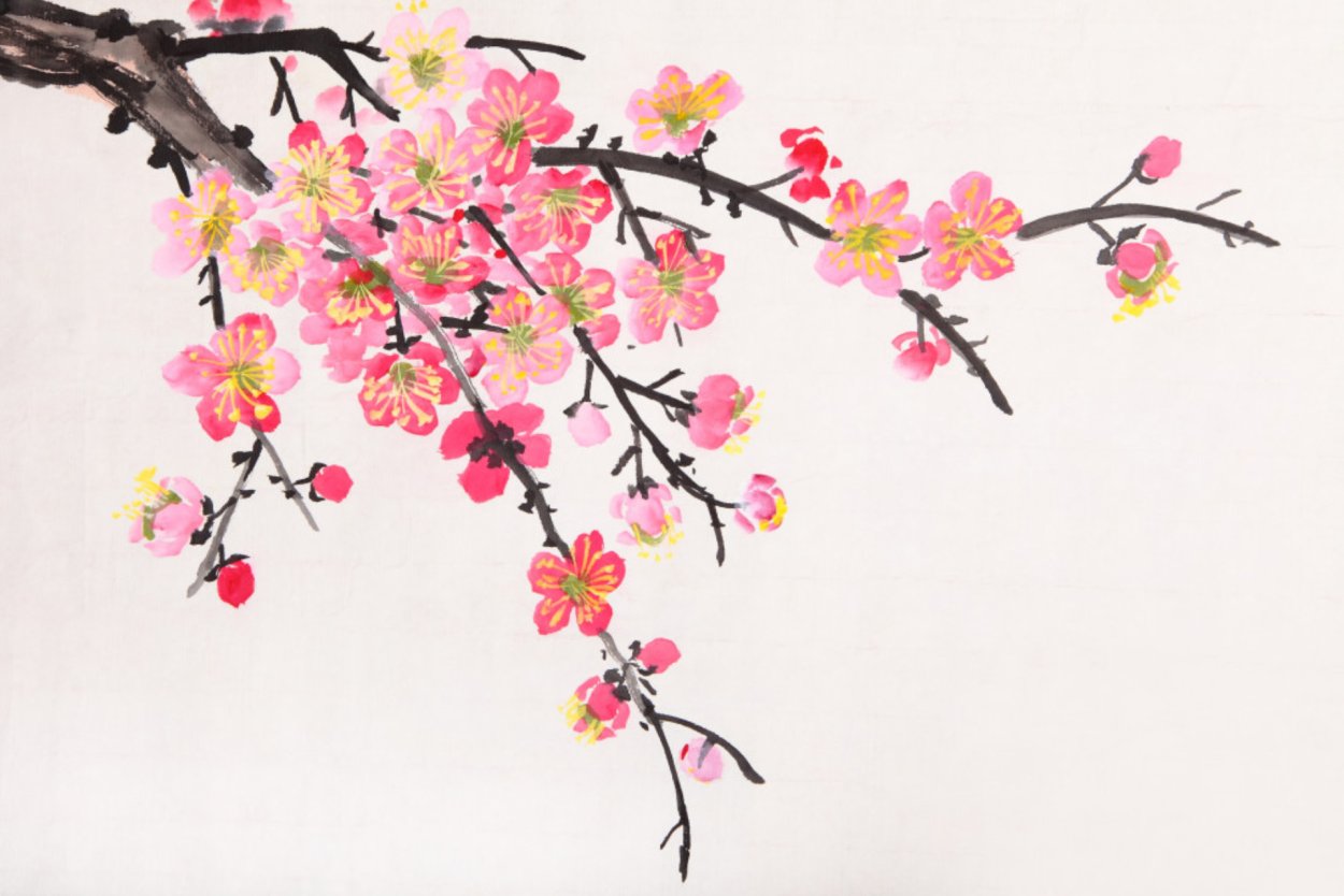 Цветущая слива Умэ в японской живописи