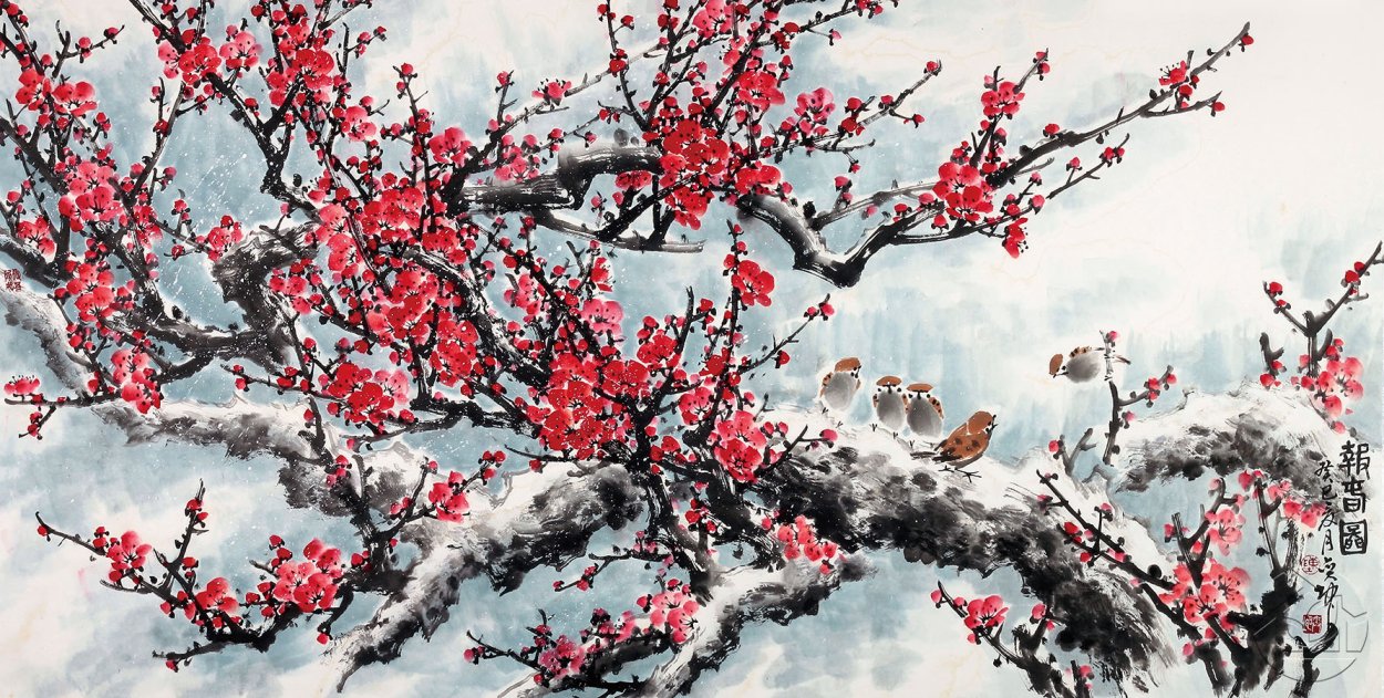 Дикая слива мэйхуа Китай плоды