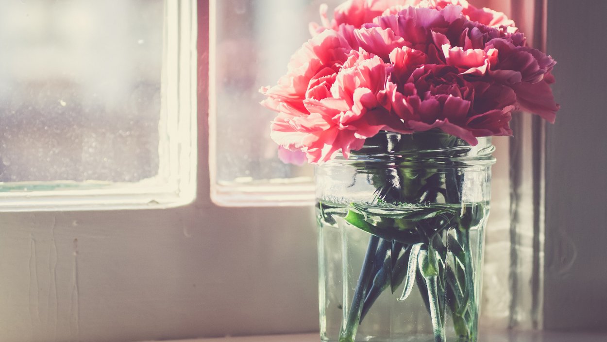 Пионы в банке на окне