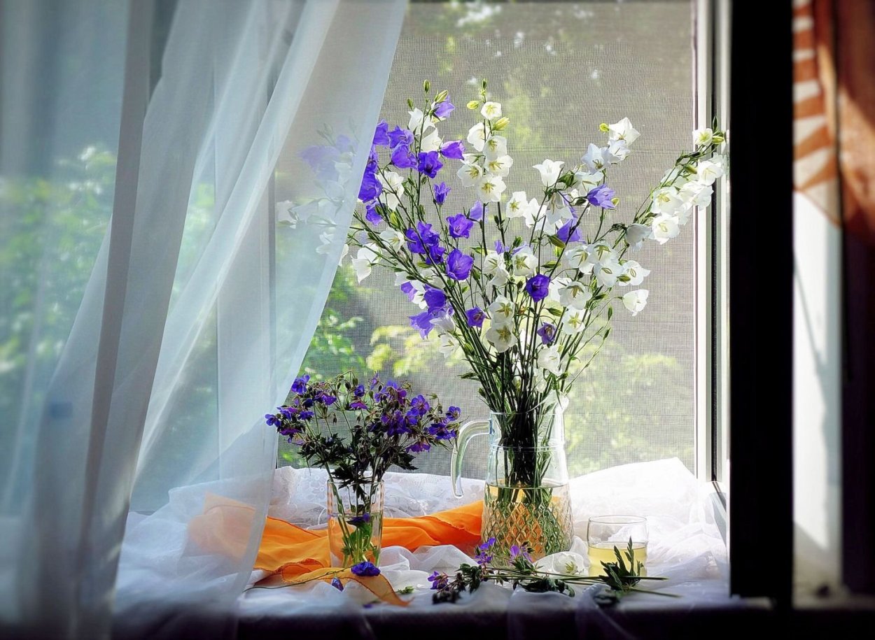 Маки в вазе на окне