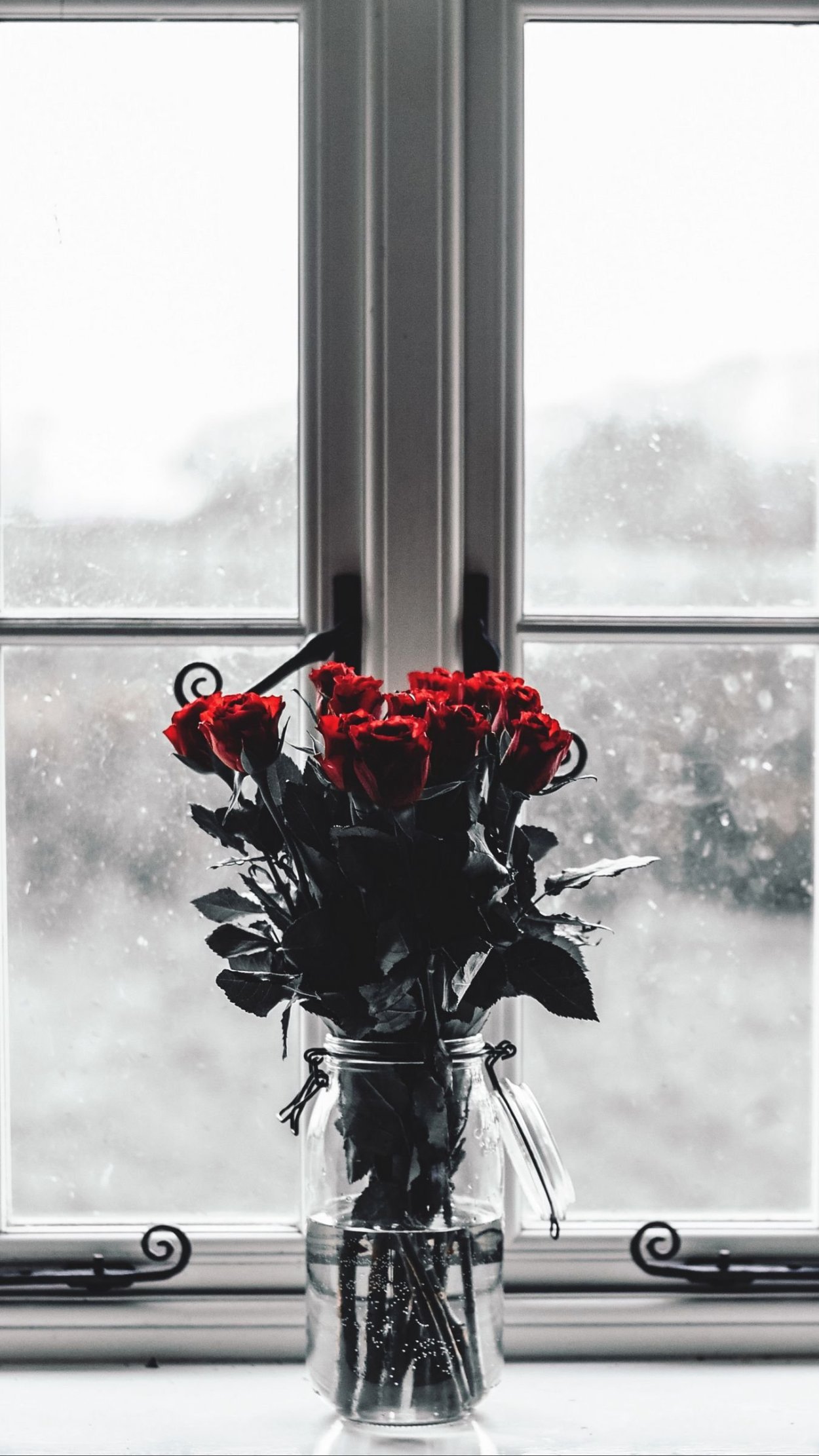 Полевые цветы на окне