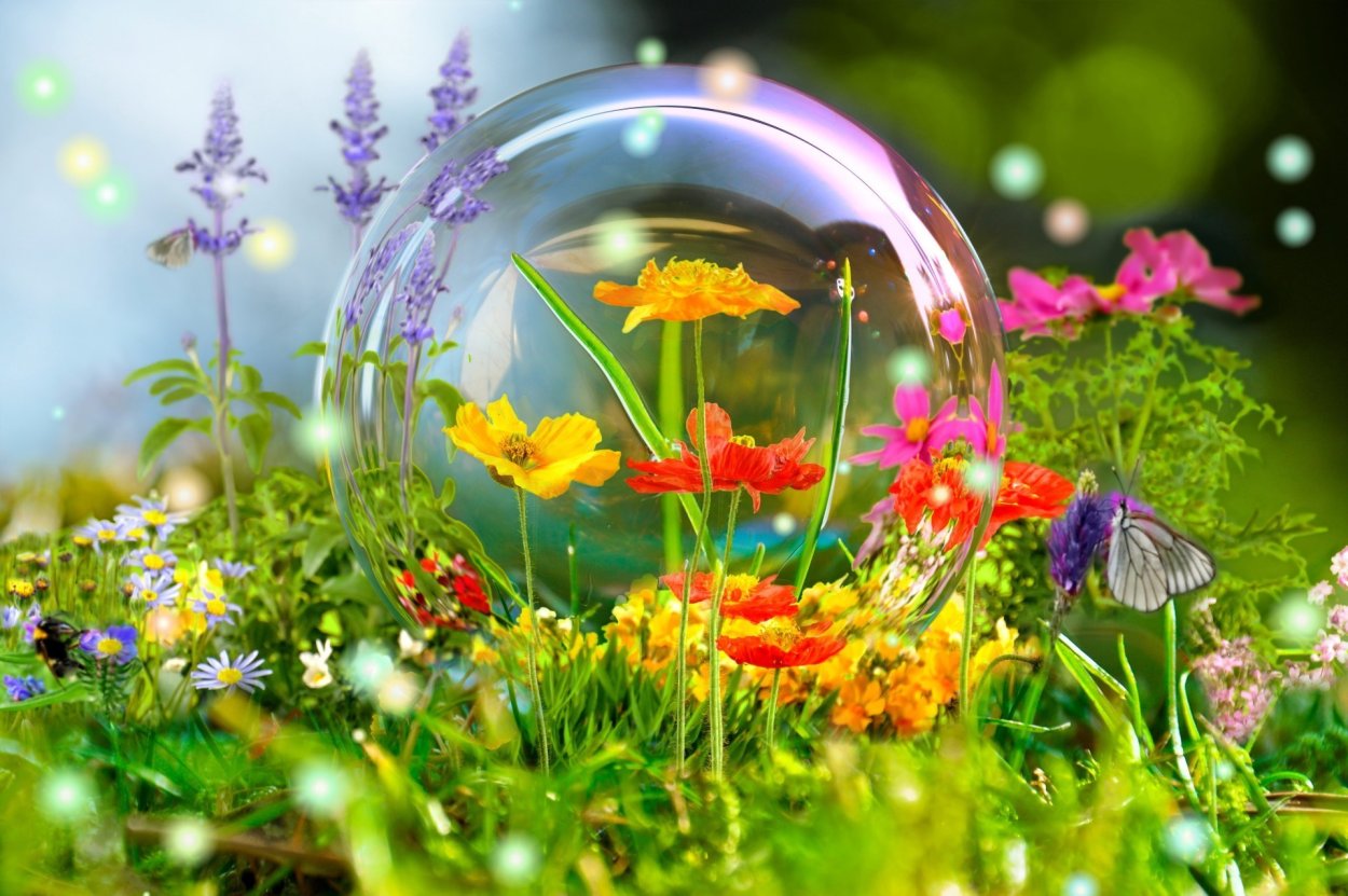 Природа цветы