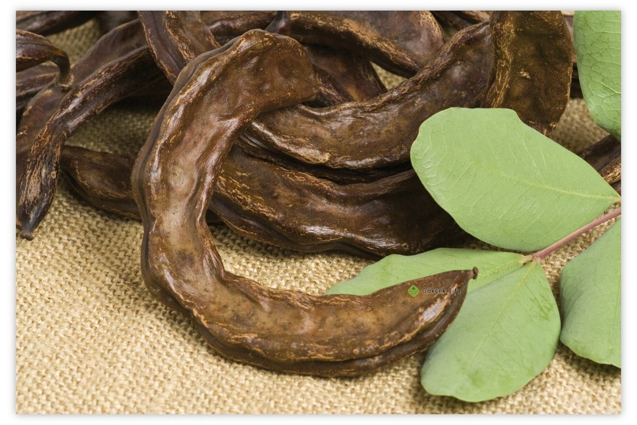 Кароб плоды рожкового дерева