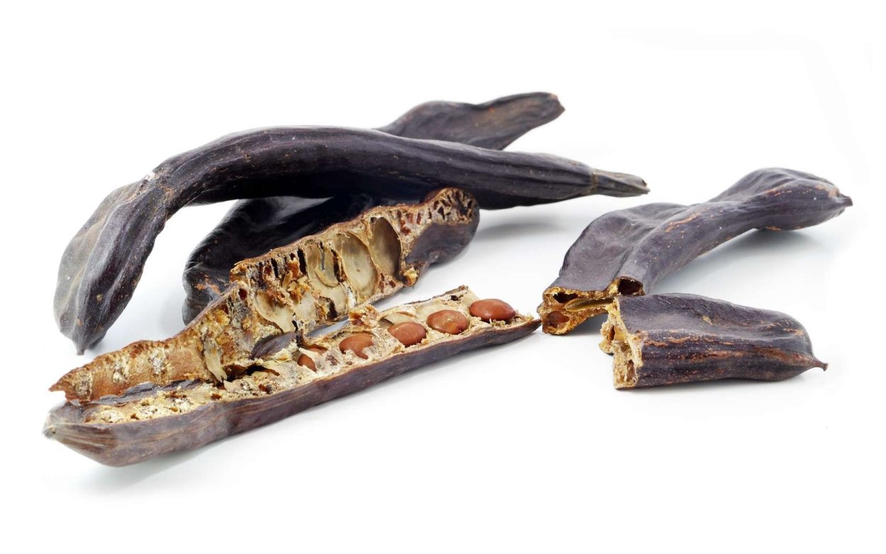 Плоды рожкового дерева PNG