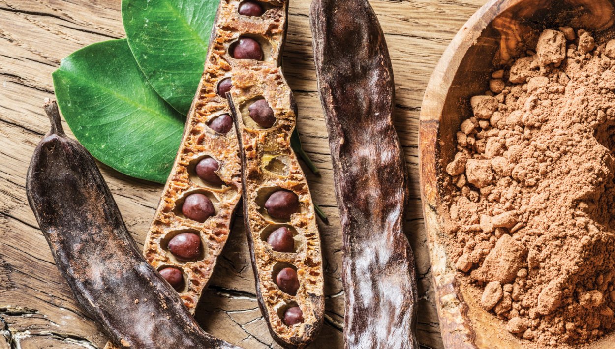 Рожковое дерево Цареградский стручок