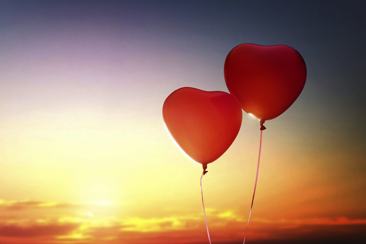 Шаровидные соцветия