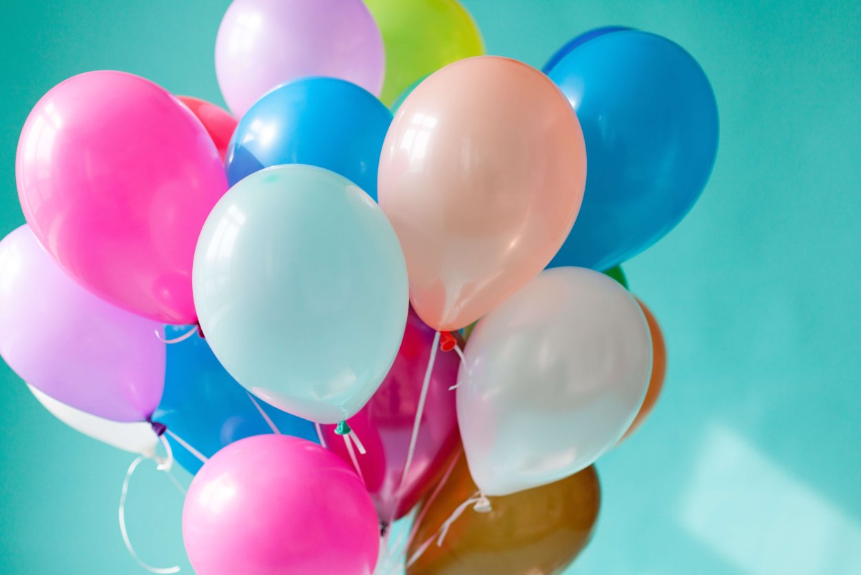 Хризантема Маримо