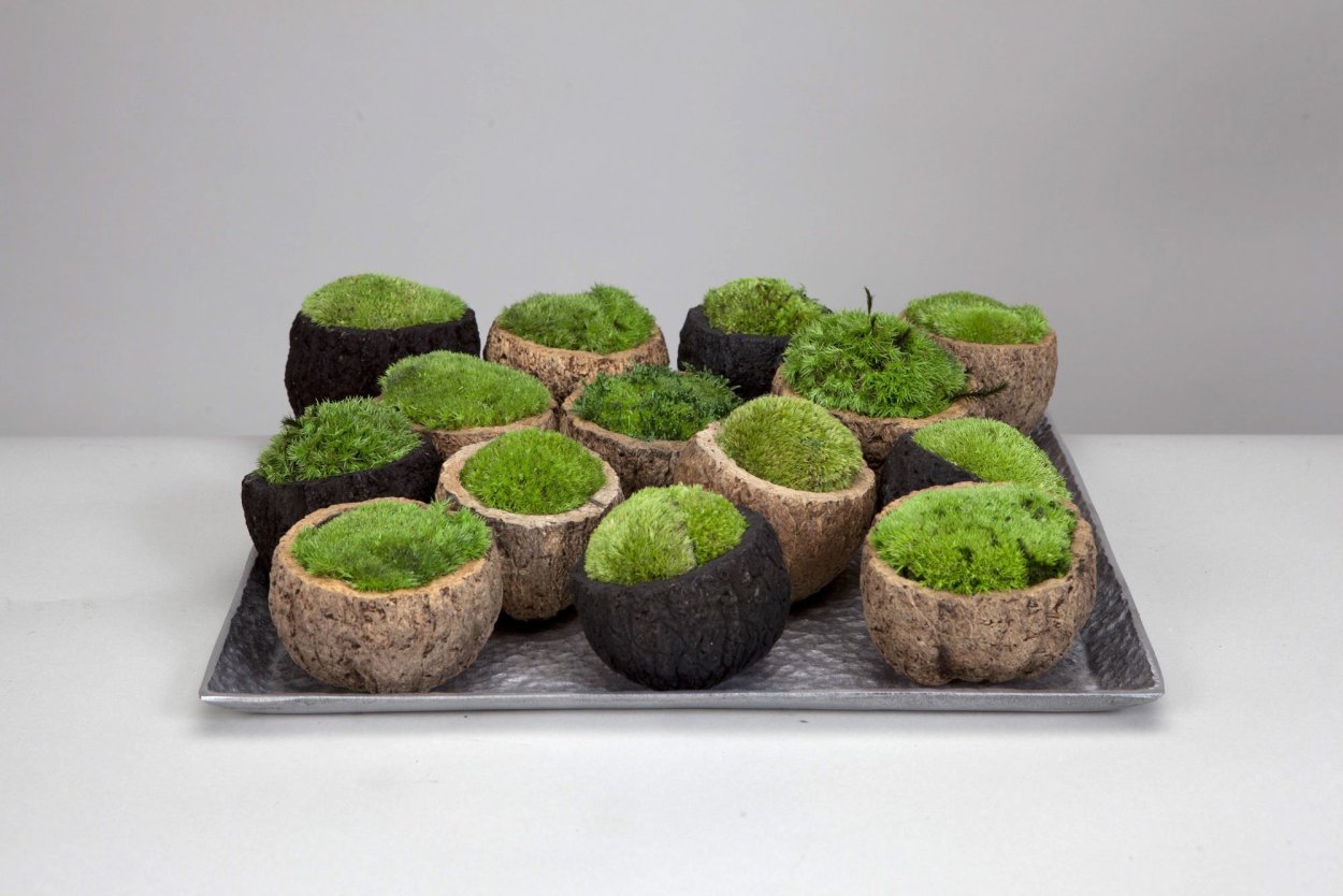 Сувениры из стабилизированного мха