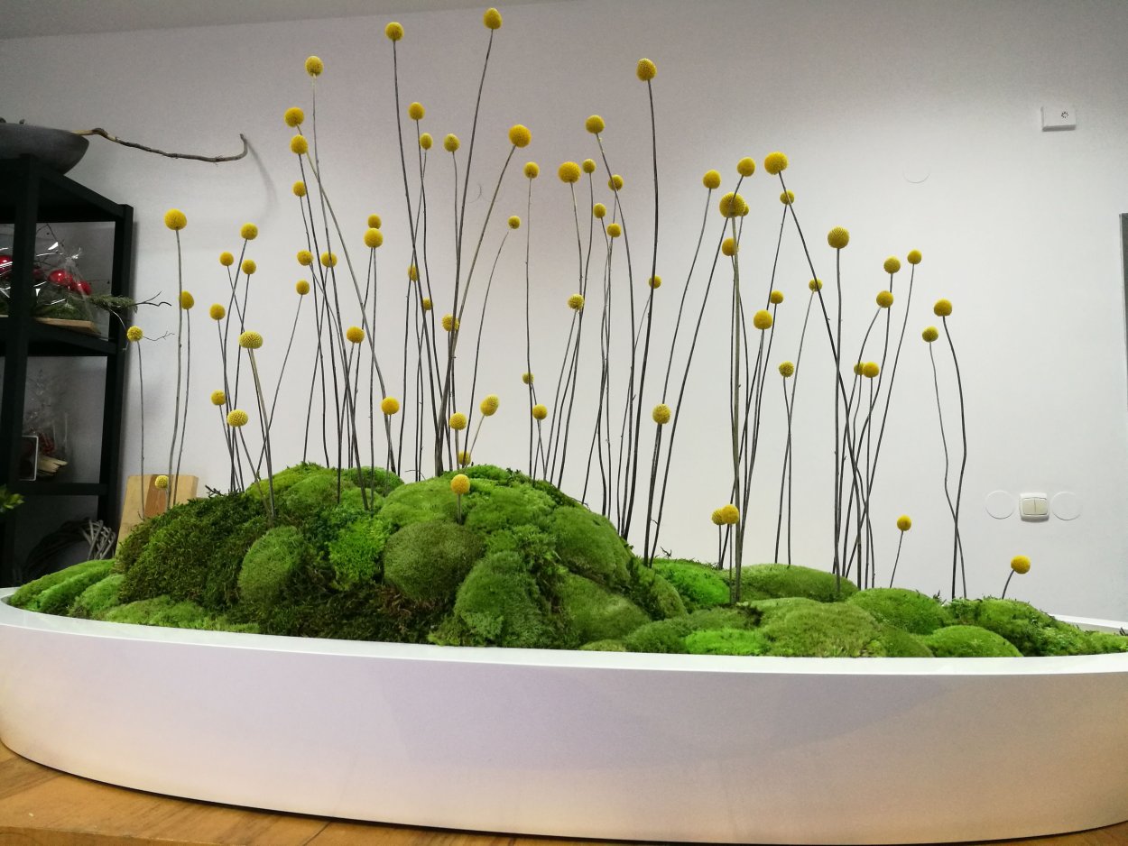 Мох в декоре интерьера