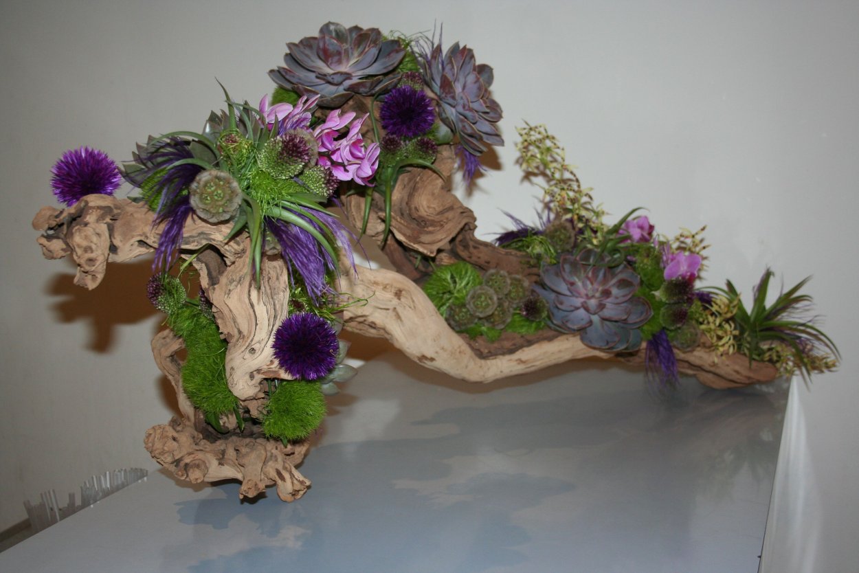 Фитодизайн рутарий