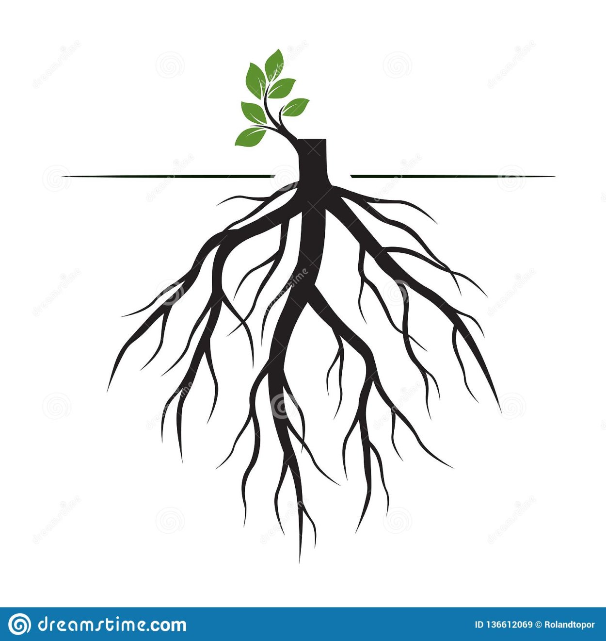 Растение с корнем вектор