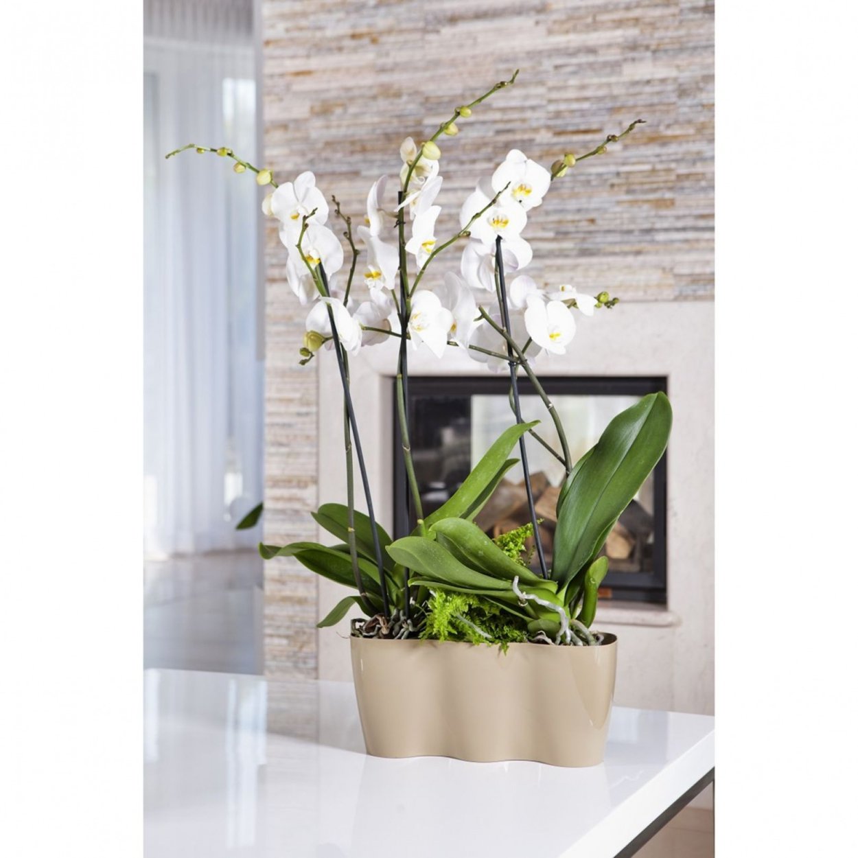 Необычные горшки для орхидей