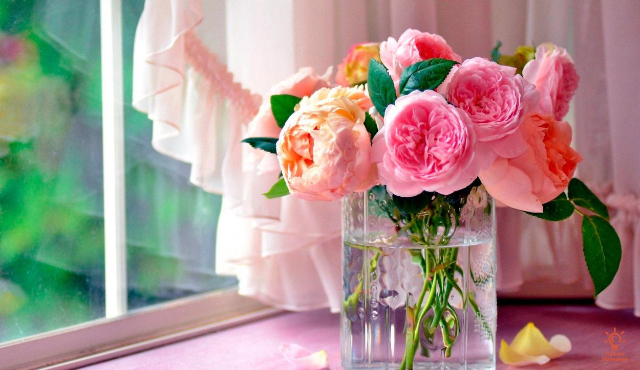 Нежный цветок