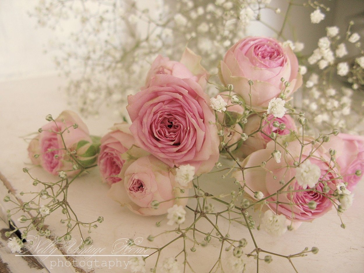 Нежный цветок