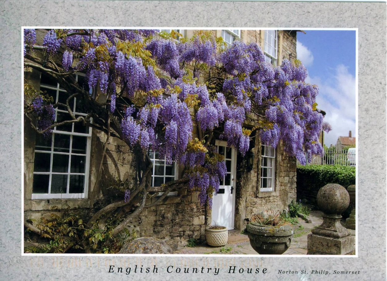 Ипомея мина Лобата