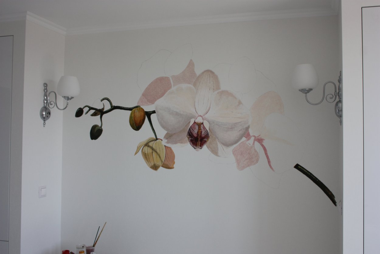 Орхидеи на стене в квартире