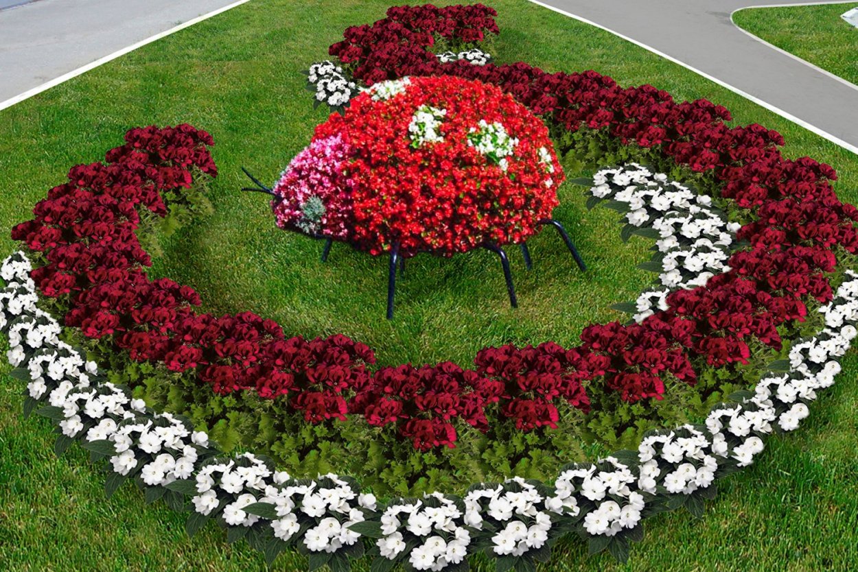 Орнаментальный цветник