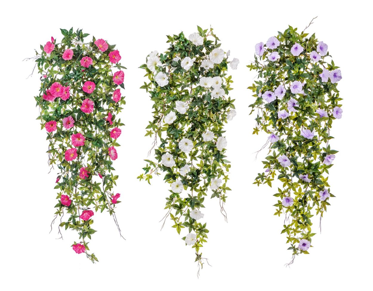 Арка увитая вьющимися растениями