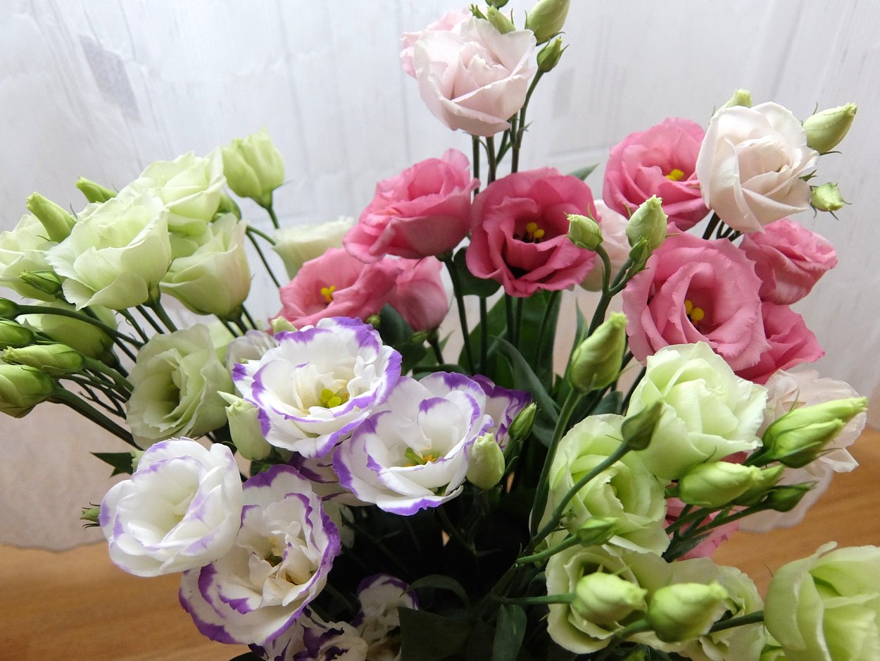 Гипсофилы с пинтереста