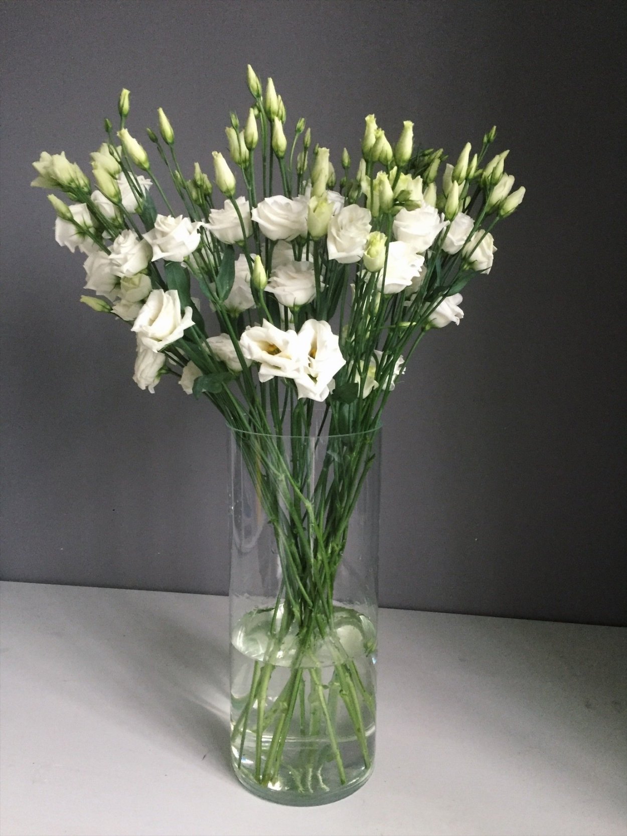 Фрезия цветок букет