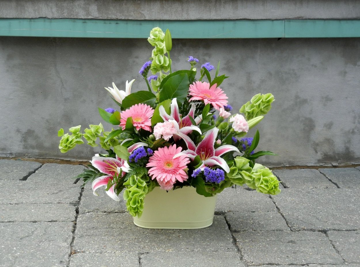 Композиции с георгинами в кашпо