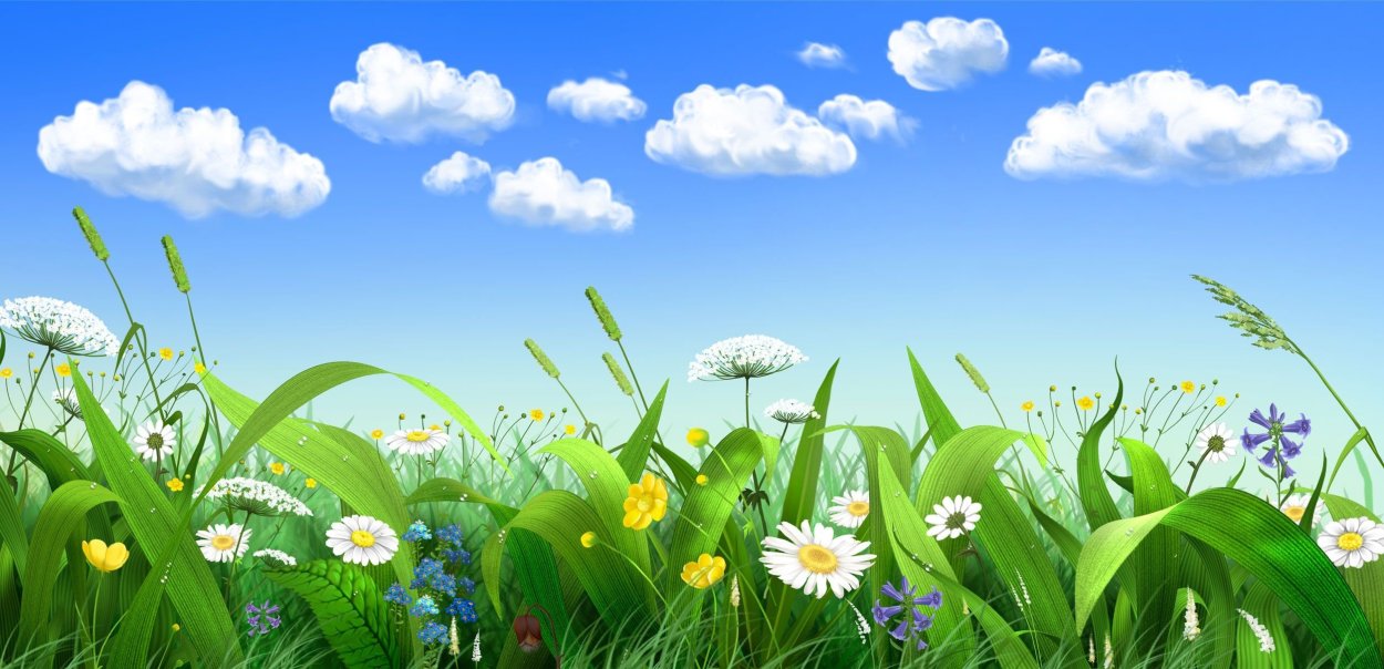 Лесная Поляна с цветами