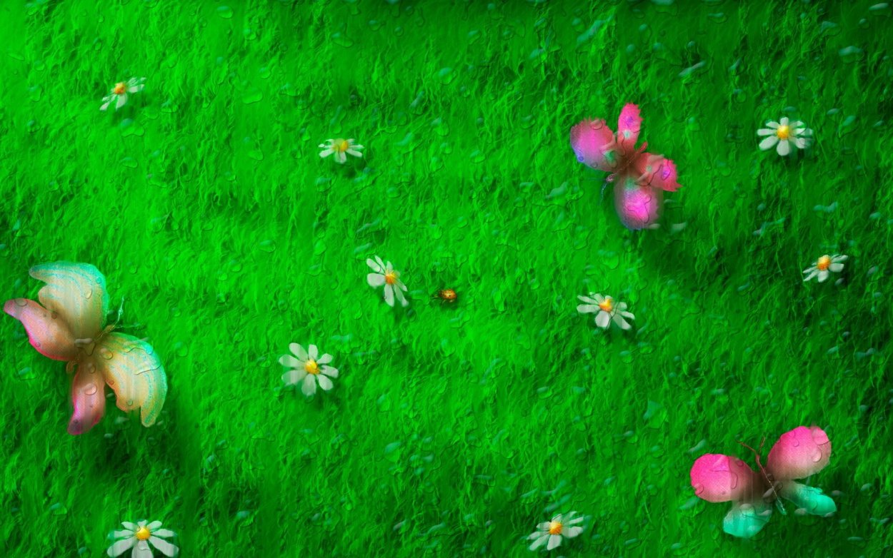 Цветочная Поляна вид сверху