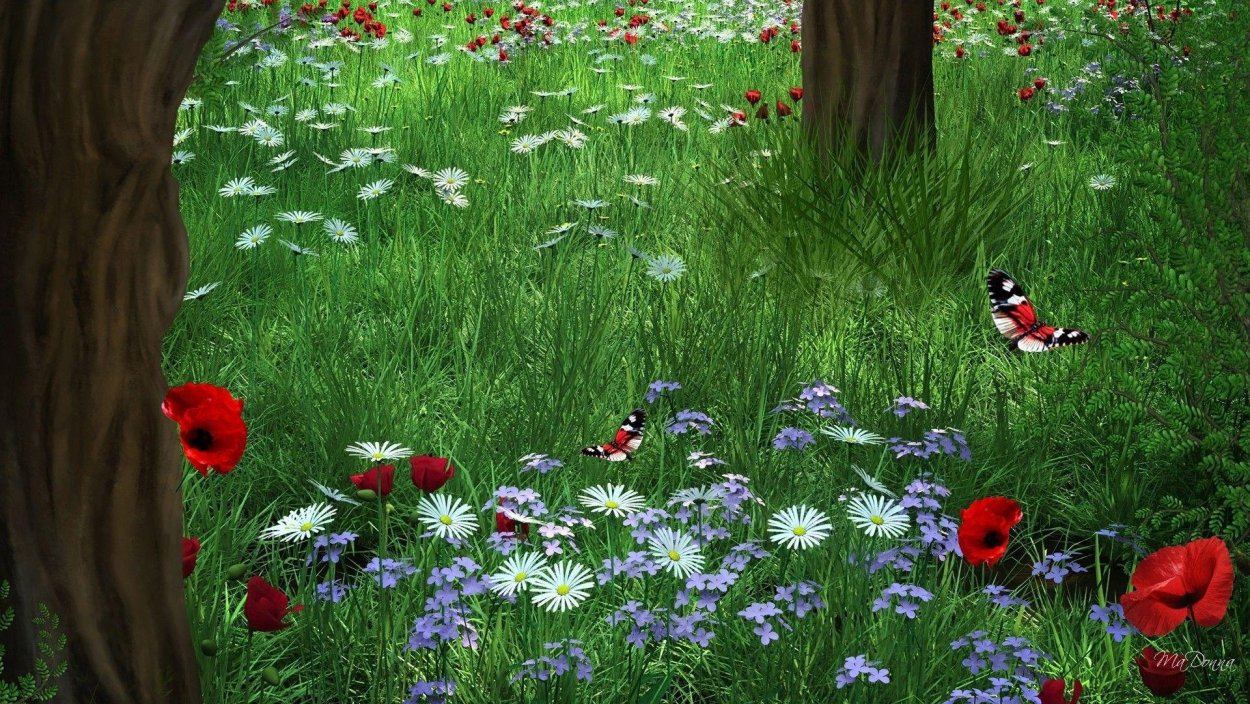 Фон Полянка