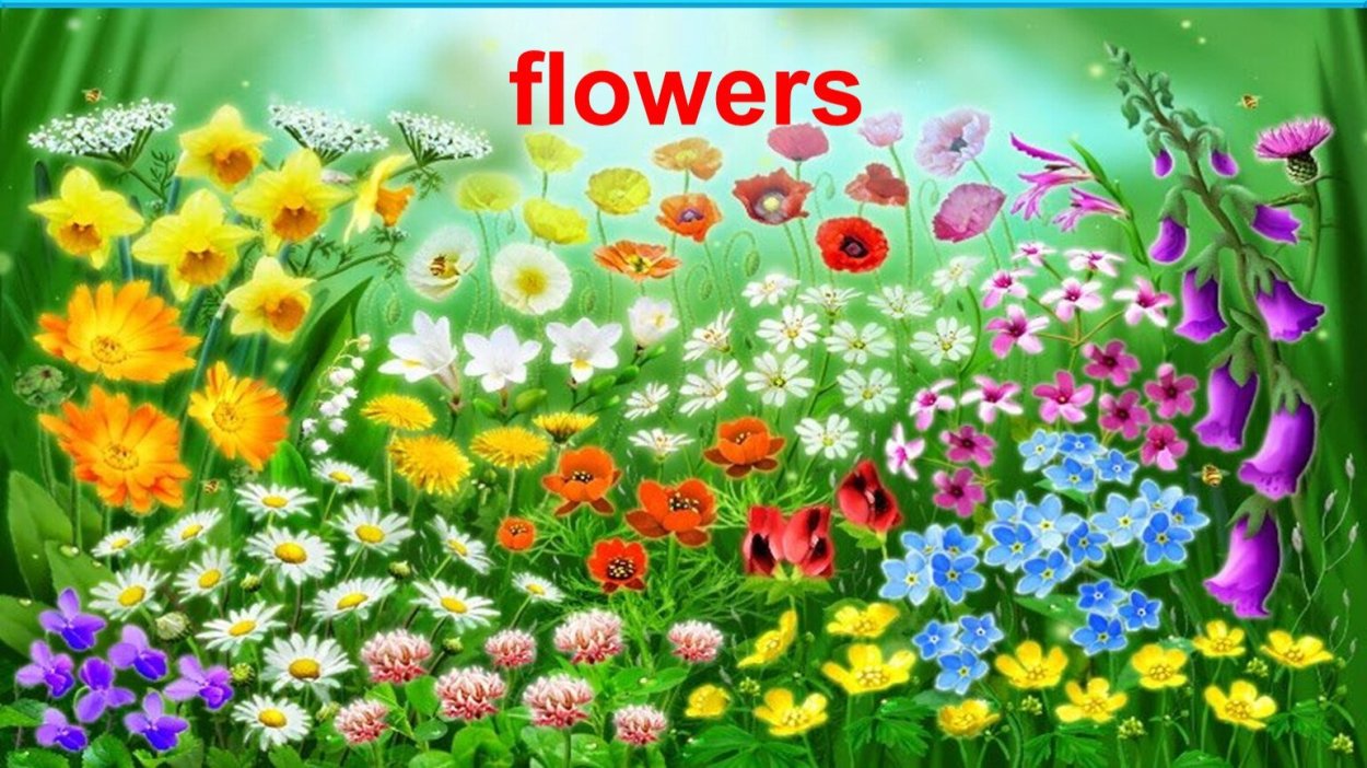 Полянка с ромашками