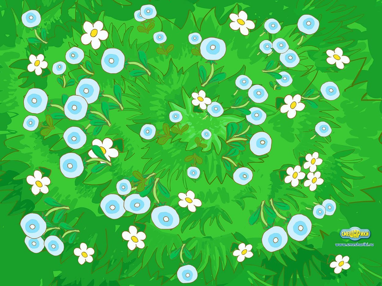 Сказочная Поляна вид сверху