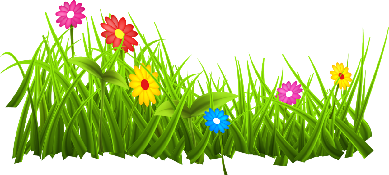 Поляна с цветами аниме