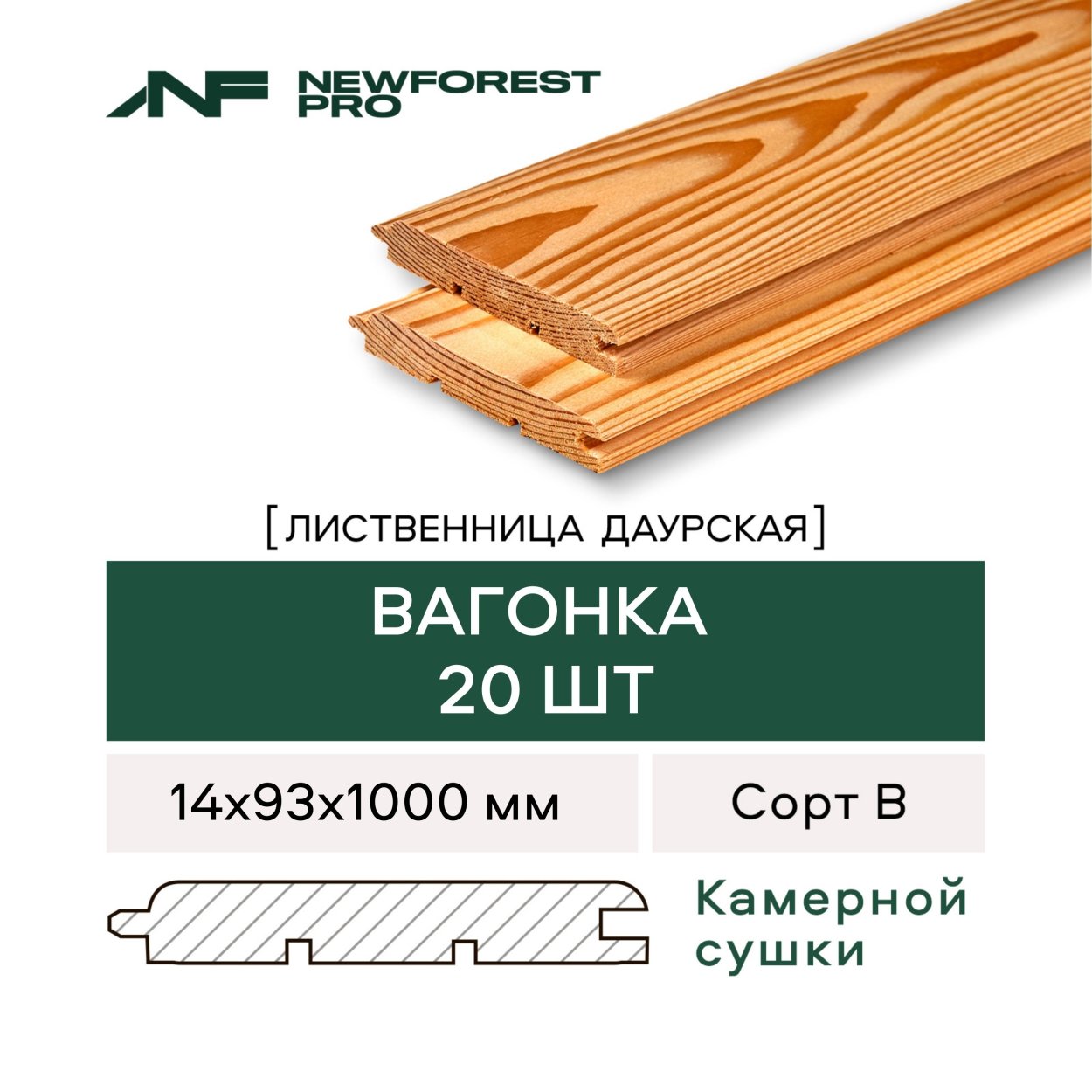 Лиственница европейская Larix decidua pendula