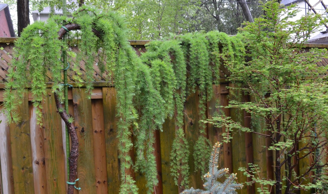 Материнская плата MSI 865gvm2-LS