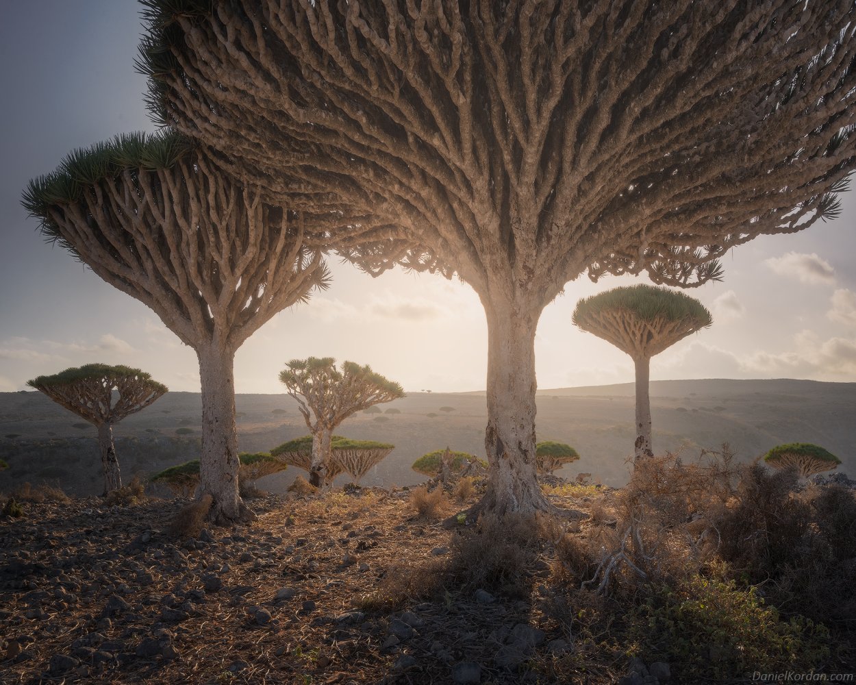 Аксель Эрландсон