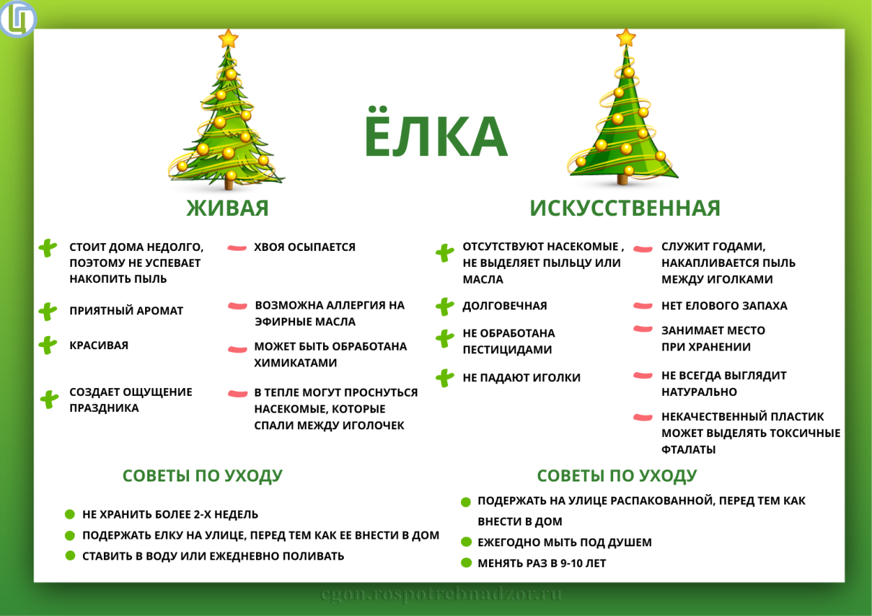 Живая или искусственная елка