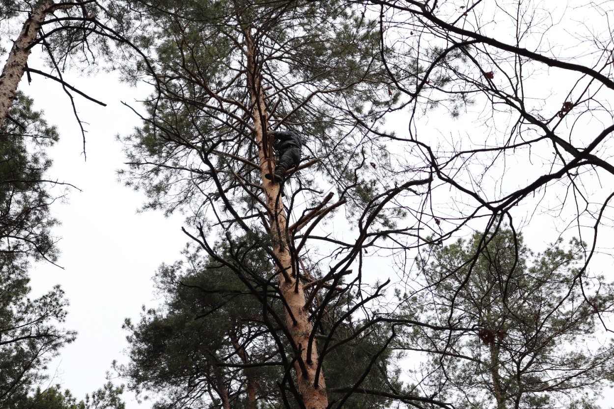 Ярмарка Мастеров во Владивостоке