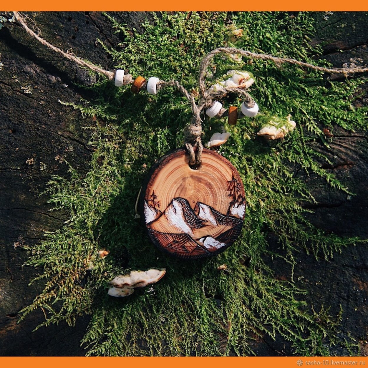 Лиственница великан Суводский Бор