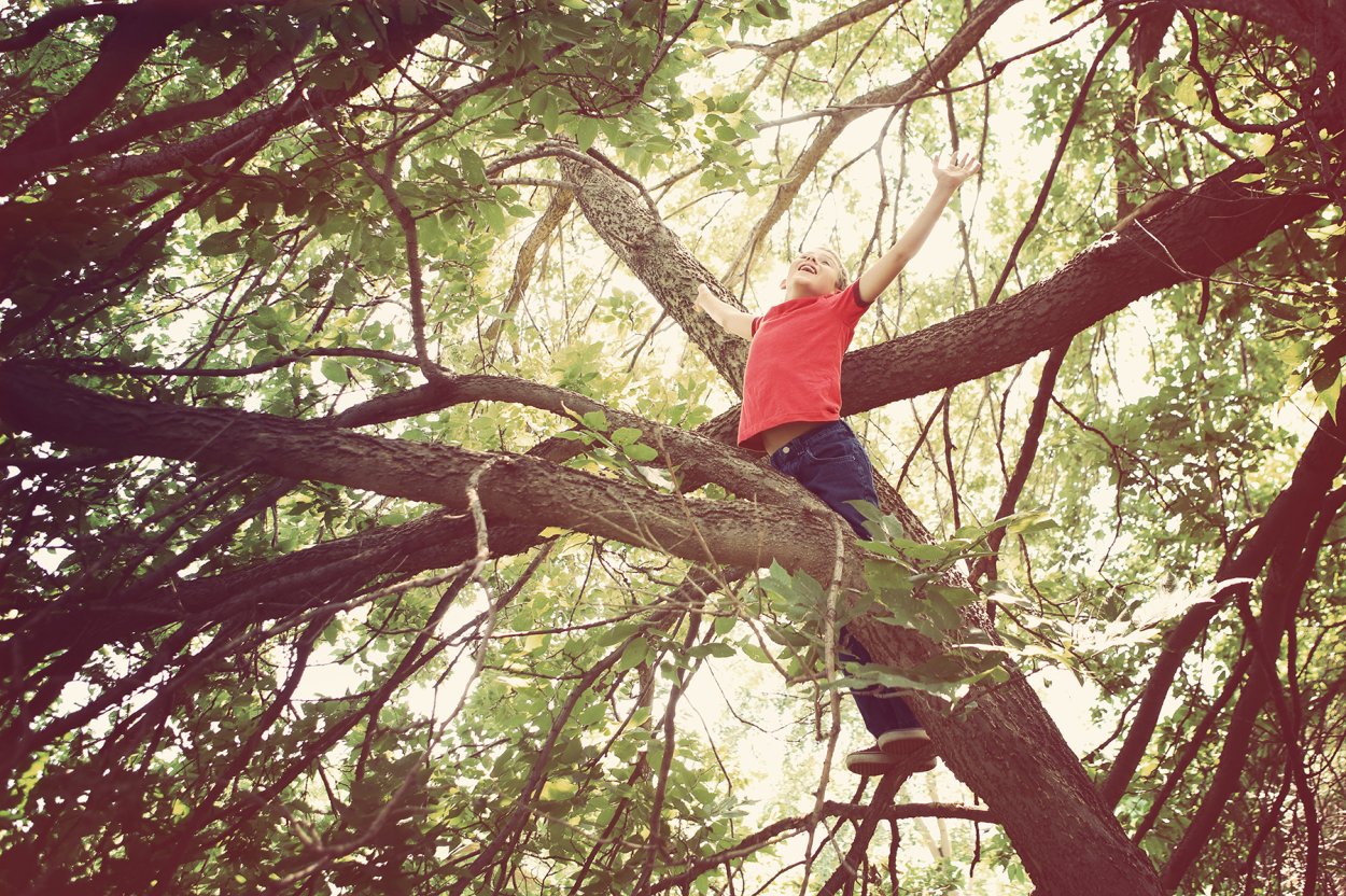 Надписи вырезанные на дереве