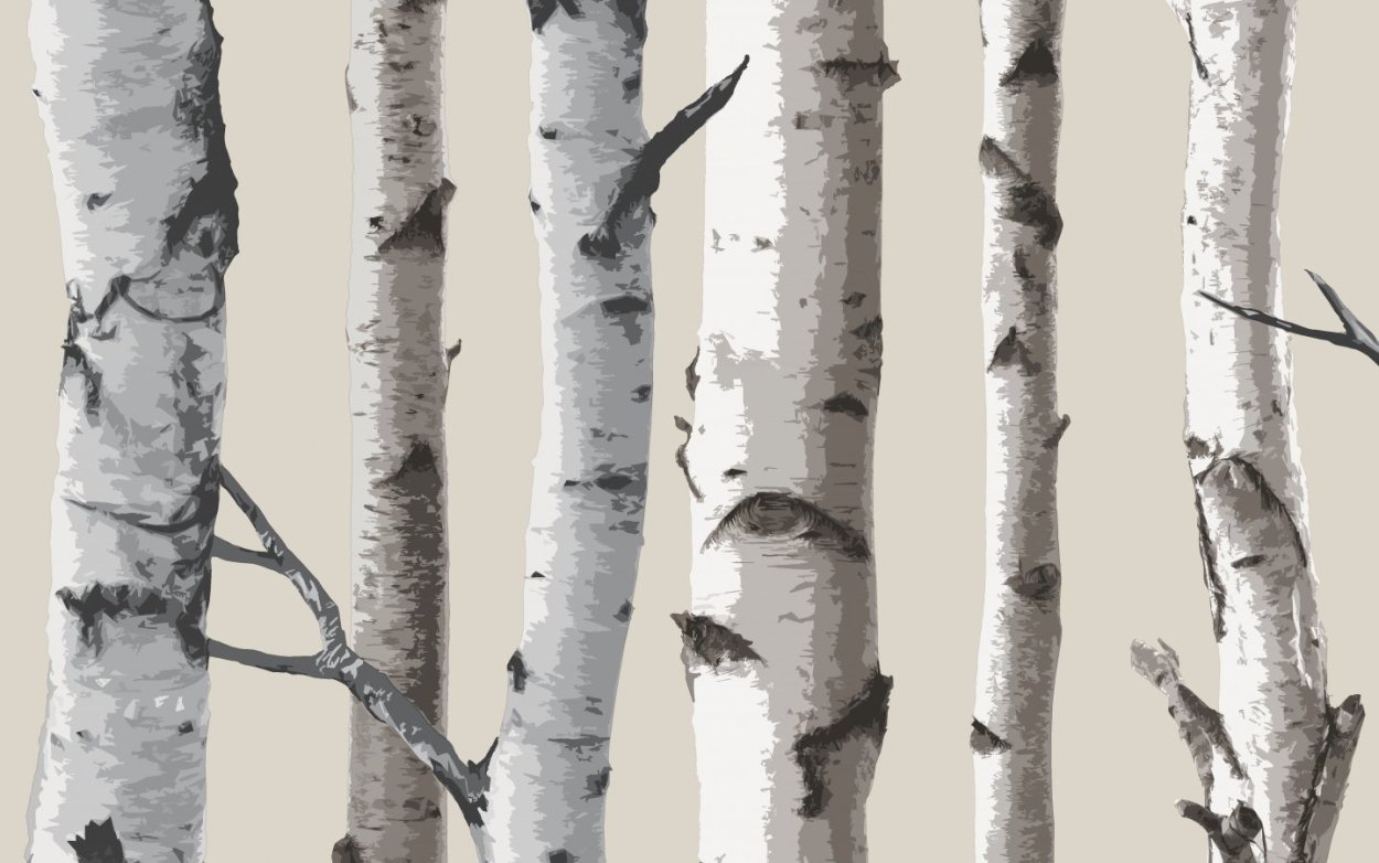 Берёзы, осины, Ива и Тополь