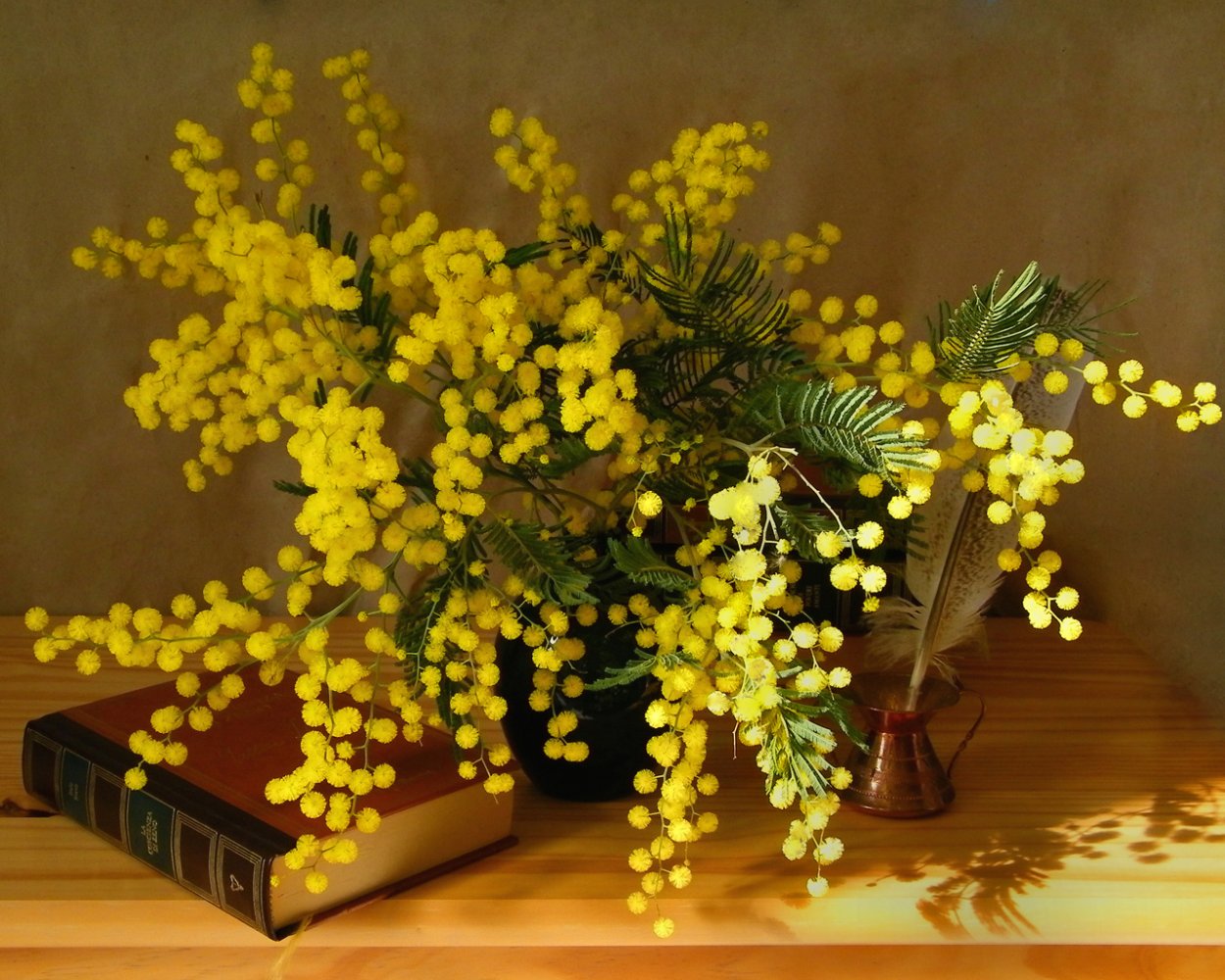 Цветущая Мимоза дерево