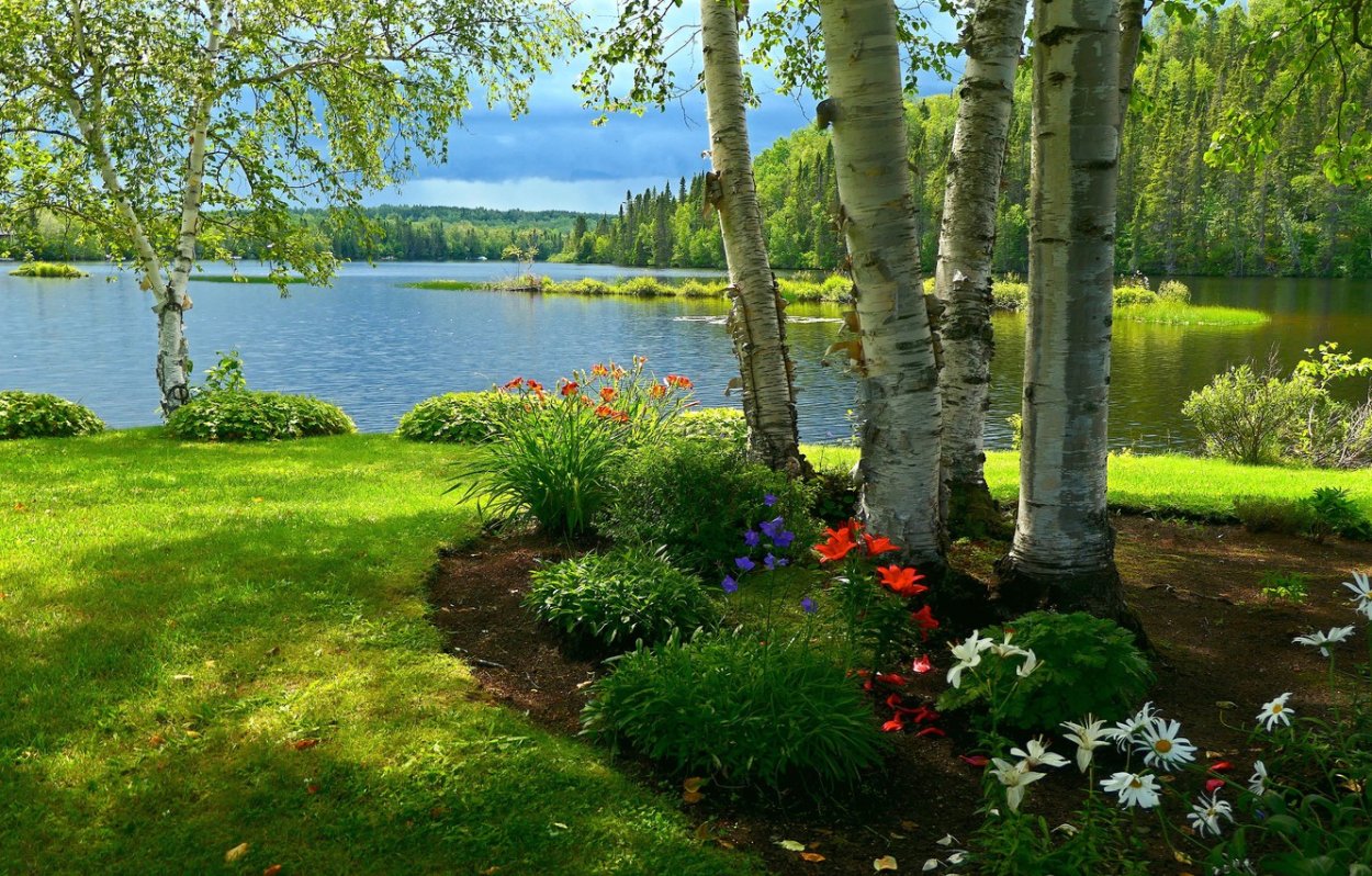 Берег озера с цветами