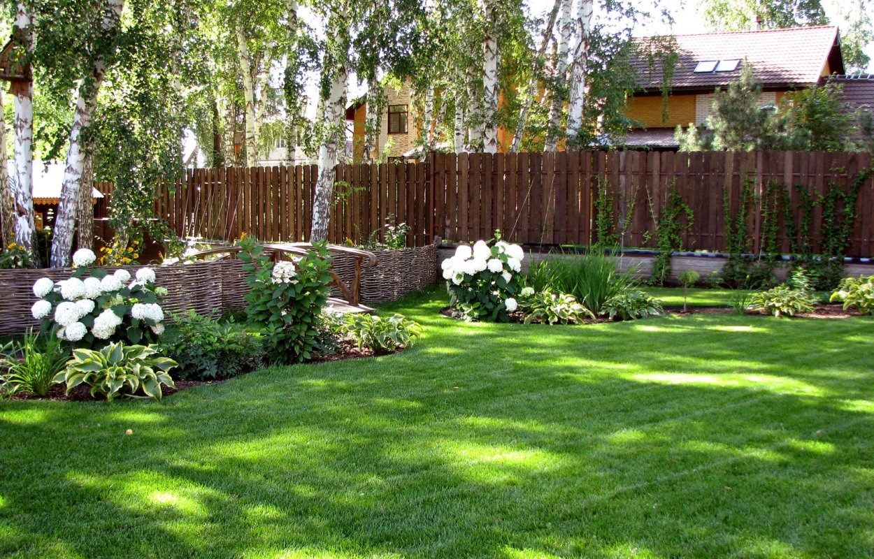 Клумба около сарая