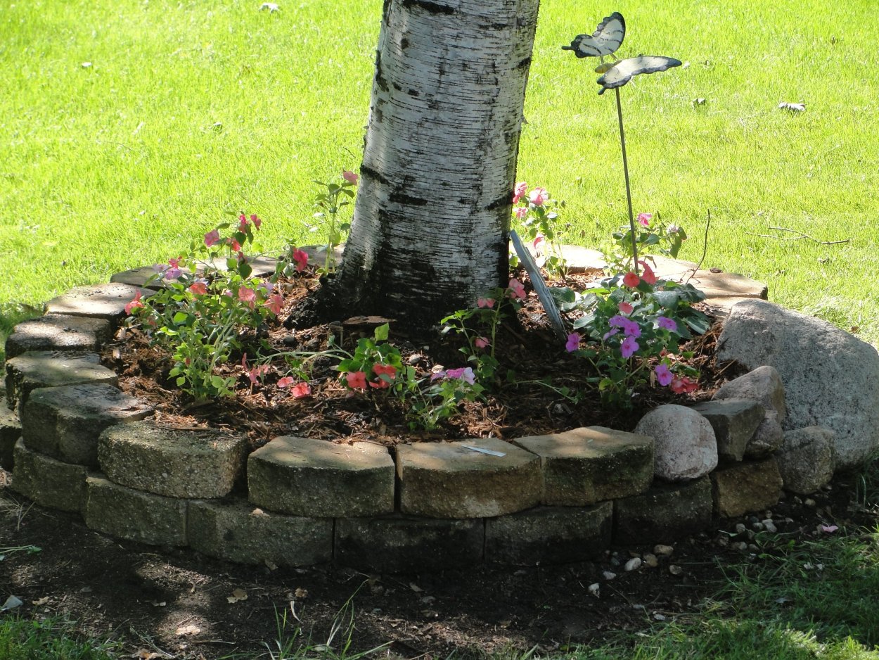 Цветник под березой